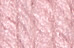 Light Rose 16407509861