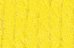 Bright Yellow 16407509877 Bright Yellow 16407509877
