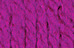 Hot Fuchsia 16407575728 Hot Fuchsia 16407575728
